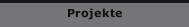 Projekte